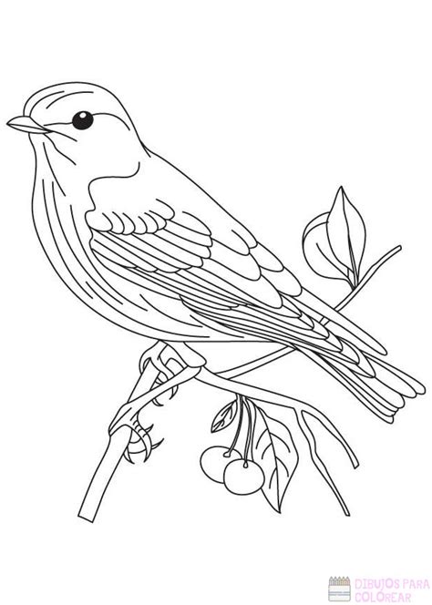 磊 Dibujos De Aves【250】lindos Y Faciles