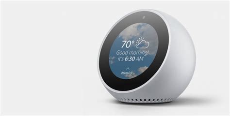 Amazon Adds Four More Echo Devices Meet Plus Spot