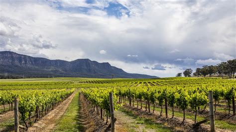 Hunter Valley Wineries And Vineyards