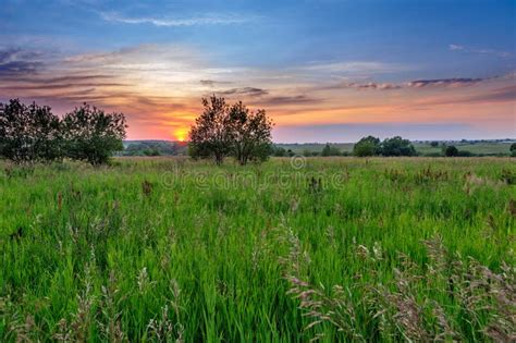 Sunset Over Grassland Stock Photo Image Of Blue Pasture 28442924