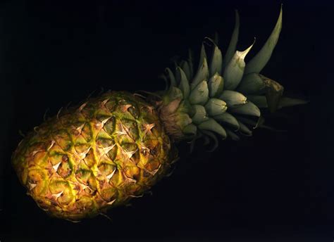 Pineapple Free Stock Photo Public Domain Pictures