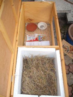 165 likes · 14 talking about this. Tierhilfe Haus der Hoffnung e.V.