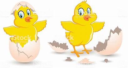 Chick Egg Hatching Clipart Clipground