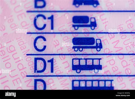 Macrophotography On European Driving License Categories Stock Photo Alamy