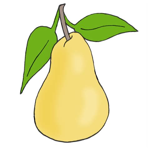 Pear Drawing 4 Easy Steps The Graphics Fairy