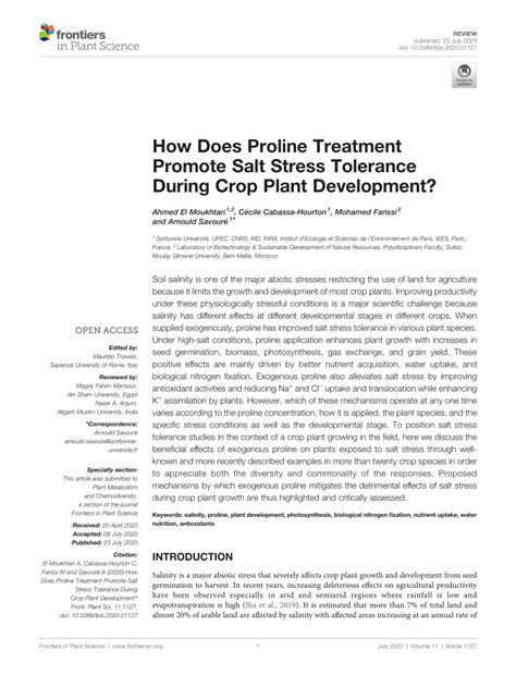 Pdf How Does Proline Treatment Promote Salt Stress Tolerance During