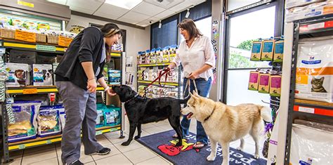 Selecting Your Pet Stores That Is Worth Considering As Well As Your Pet