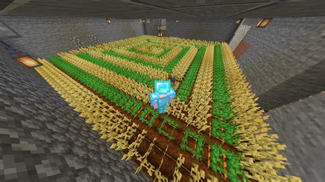 How To Grow Crops In Minecraft