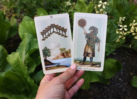 Nikkis Weekly Tarot Reading July 20 26 2020 Forever Conscious