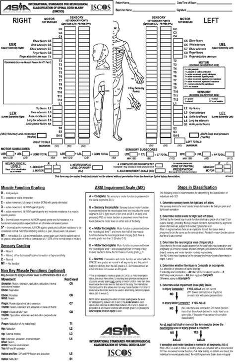 Updates For The International Standards For Neurological Classification