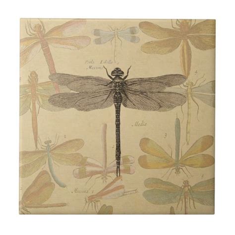 Vintage Dragonfly Drawing Tile Dragonfly Drawing Dragonfly Images