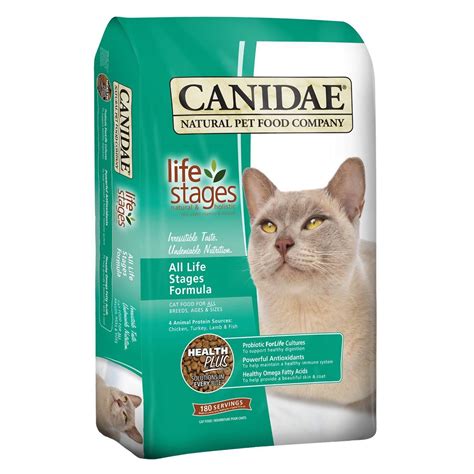 Best Dry Cat Food For Older Cats That Vomit Cat Meme Stock Pictures