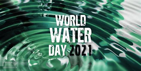 World Water Day 2021 What Does Water Mean To You Natures Gateway