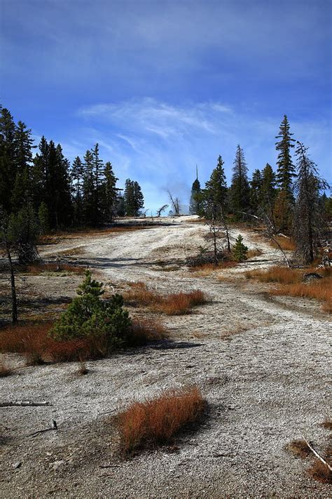 Yellowstone Park Mountain Slope 2009 Photograph By Frank Romeo Fine