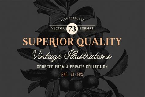 The Handcrafted Vintage Fonts Pack Tom Chalky