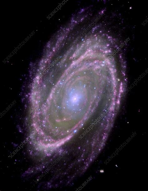 Spiral Galaxy M81 Composite Image Stock Image C0068626 Science