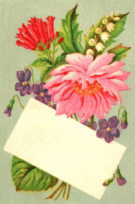 Antique Images Printable Blank Rose Flower Note Card Label Design