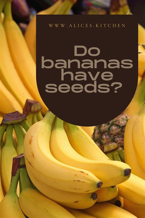 Do Bananas Have Seeds The Surprising Answer Alices Kitchen