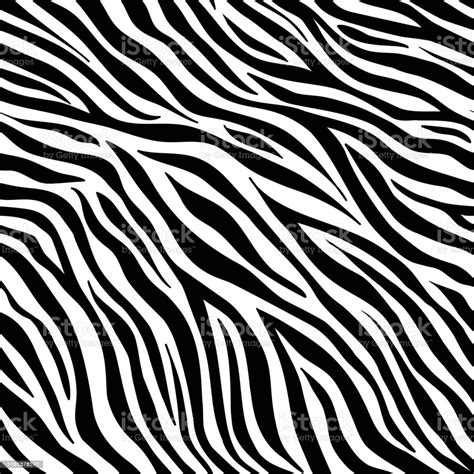 Zebra Animal Pattern White Background Vector Striped
