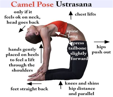 How To Do Camel Pose What Is Camel Pose Camel Pose Ustrasana