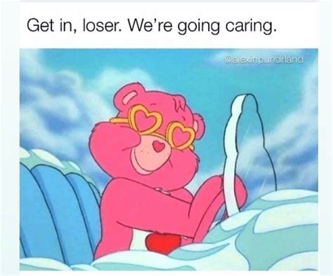 the life of an intensive care bear