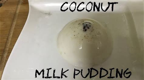 Coconut Milk Pudding Quick Pudding Youtube