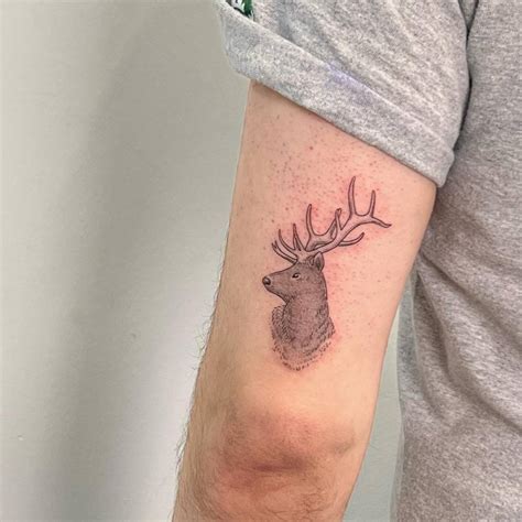 Deer Head Tattoo Done On The Tricep Illustrative