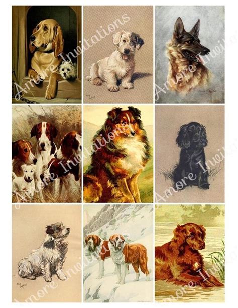 Printable Digital Vintage Dogs Collage Sheet Clip Art Atc Etsy