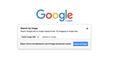 Users can search by image, by keyword, or by the url of the picture to find similar images, memes, profile pictures, and wallpapers along with their location and ownership information. The Best Way to Perform Reverse Image Search
