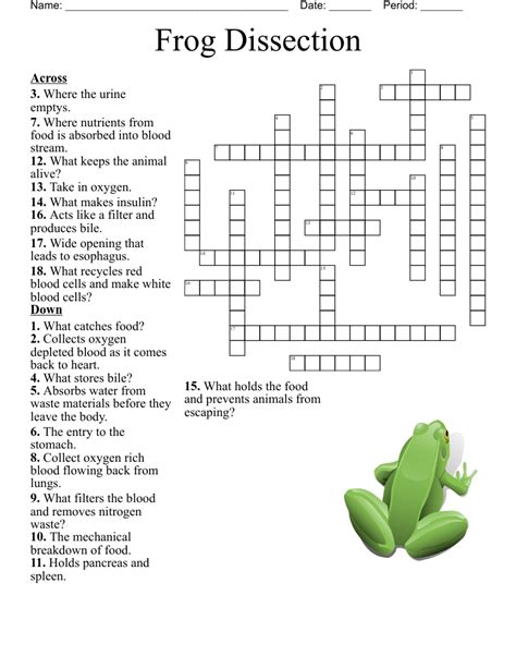 Frog Dissection Crossword Wordmint