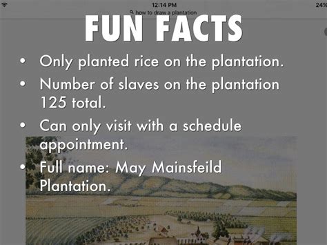 Copy Of Mainsfield Plantation By Amanda Samuel