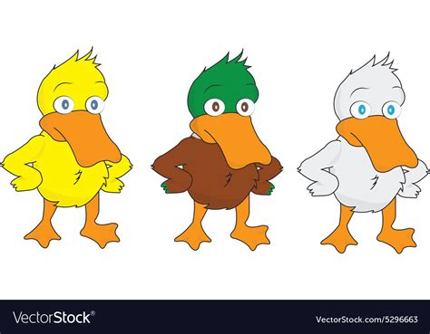 Cartoon Ducks Royalty Free Vector Image Vectorstock