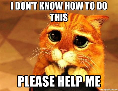 Many of us are in desperate need of god's help. i don't know how to do this please help me - Shrek Cat ...