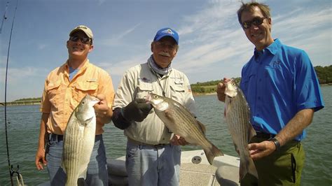 catch hybrid striped bass how to cleaning and fun youtube