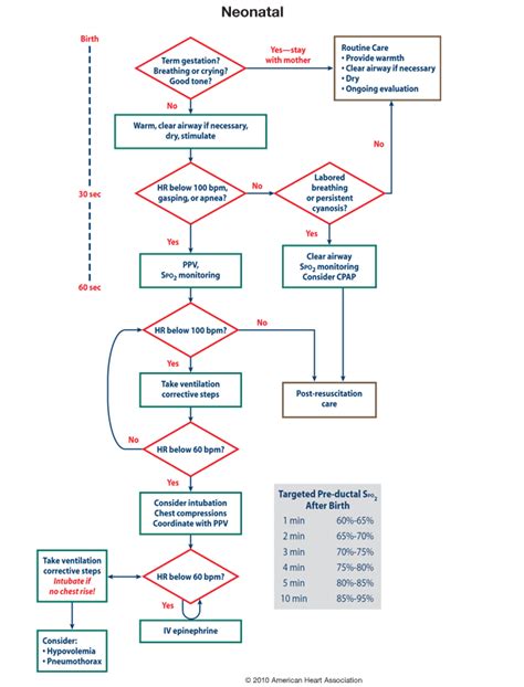 Inrp™ Flow Diagram Flow Chart Neonatal Nurse Pediatric Nursing
