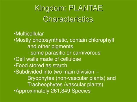 Kingdom Plantae Characteristics Riset