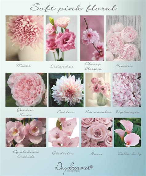Check spelling or type a new query. Bridal floral- colours Rose Quarts & Serenity | Pink ...