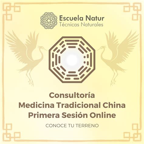 Consultoría Medicina Tradicional China Mtc Primera Sesión Online