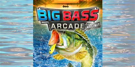 Big Bass Arcade No Limit Nintendo 3ds Download Software Spiele Nintendo