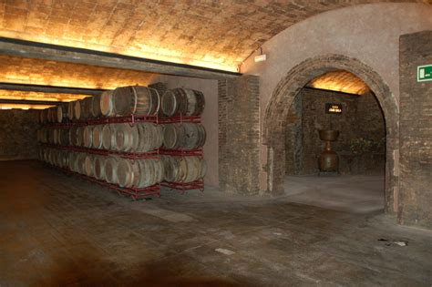 Have questions about wine cellar or wine room construction? Mold and your Cold Cellar | Mold Removal Toronto & GTA