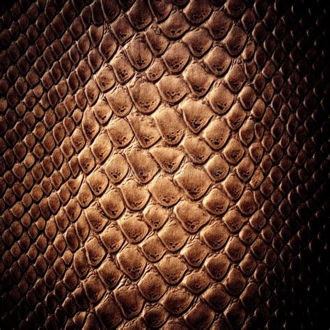 Snake Skin Leather Texture Stock Image Image Of Imprinted 39483259