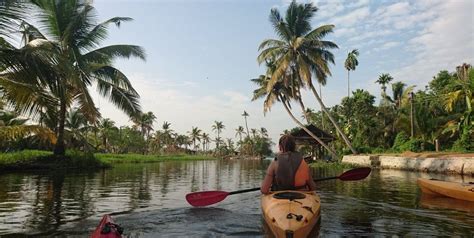 Kayaking Through Backwaters With Kalypso Adventures Kayaking