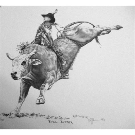 Bucking Bull Drawing At Explore Collection Of
