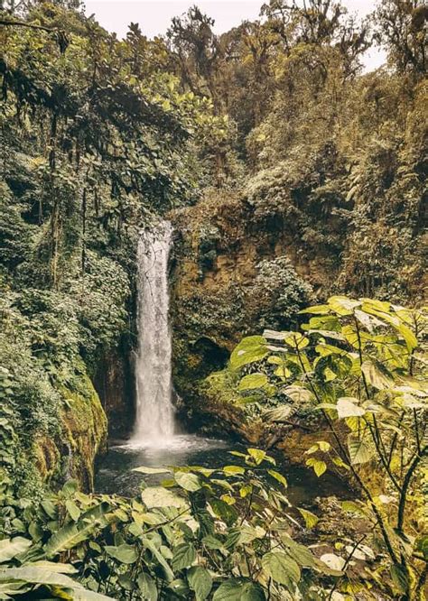 La Paz Waterfall Gardens And Peace Lodge Costa Rica Vibes