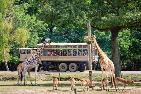 Top 15 Des Plus Beaux Parcs Animaliers Réserves Et Zoos De France La