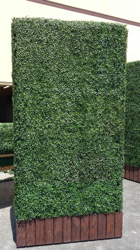 Another One What A Beauty Artificial Boxwood Hedge Panel To Be Used