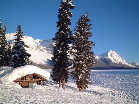 Kakwa Lake Cabin British Columbia Winter Snow Trees Sky Canada