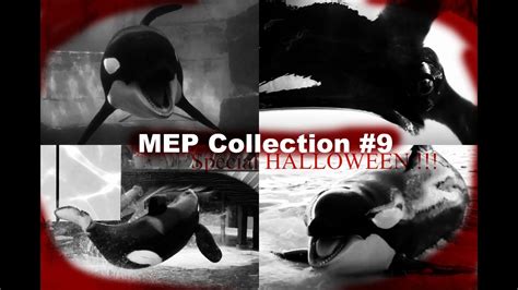 Mep Collection 9 Special Halloween Youtube