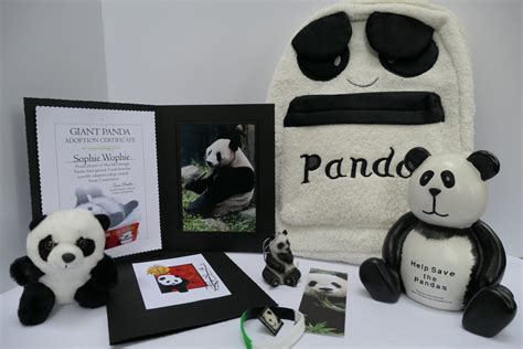 Pana3461 Pandas International