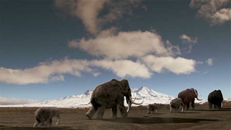 Seeing Woolly Mammoths Walk The Earth Again Just Became A Very Real